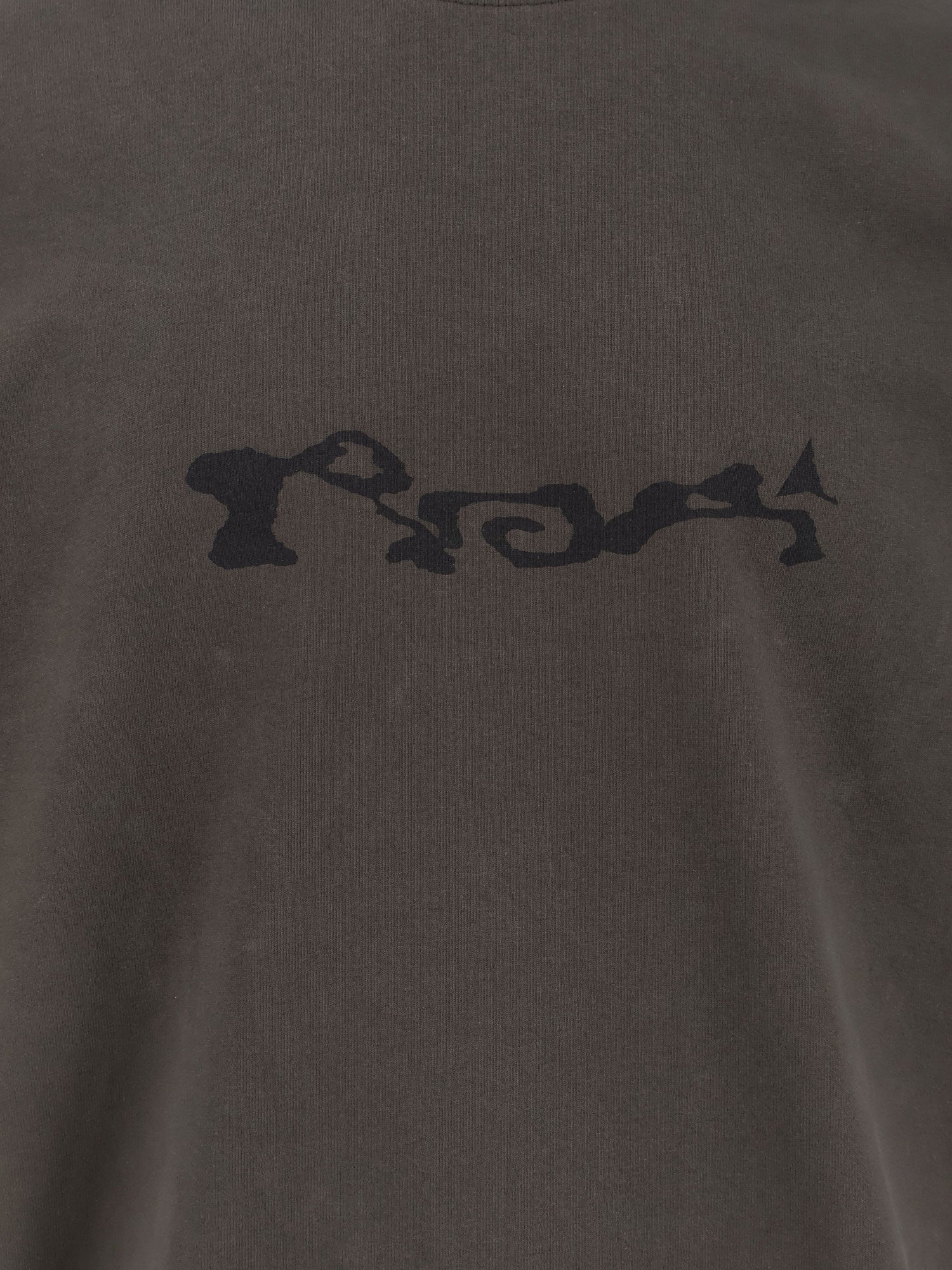 オーガニック コットン Tシャツ