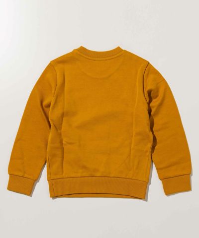 DIESEL(ディーゼル)Kids & Junior ブランドロゴスウェットプルオーバー
