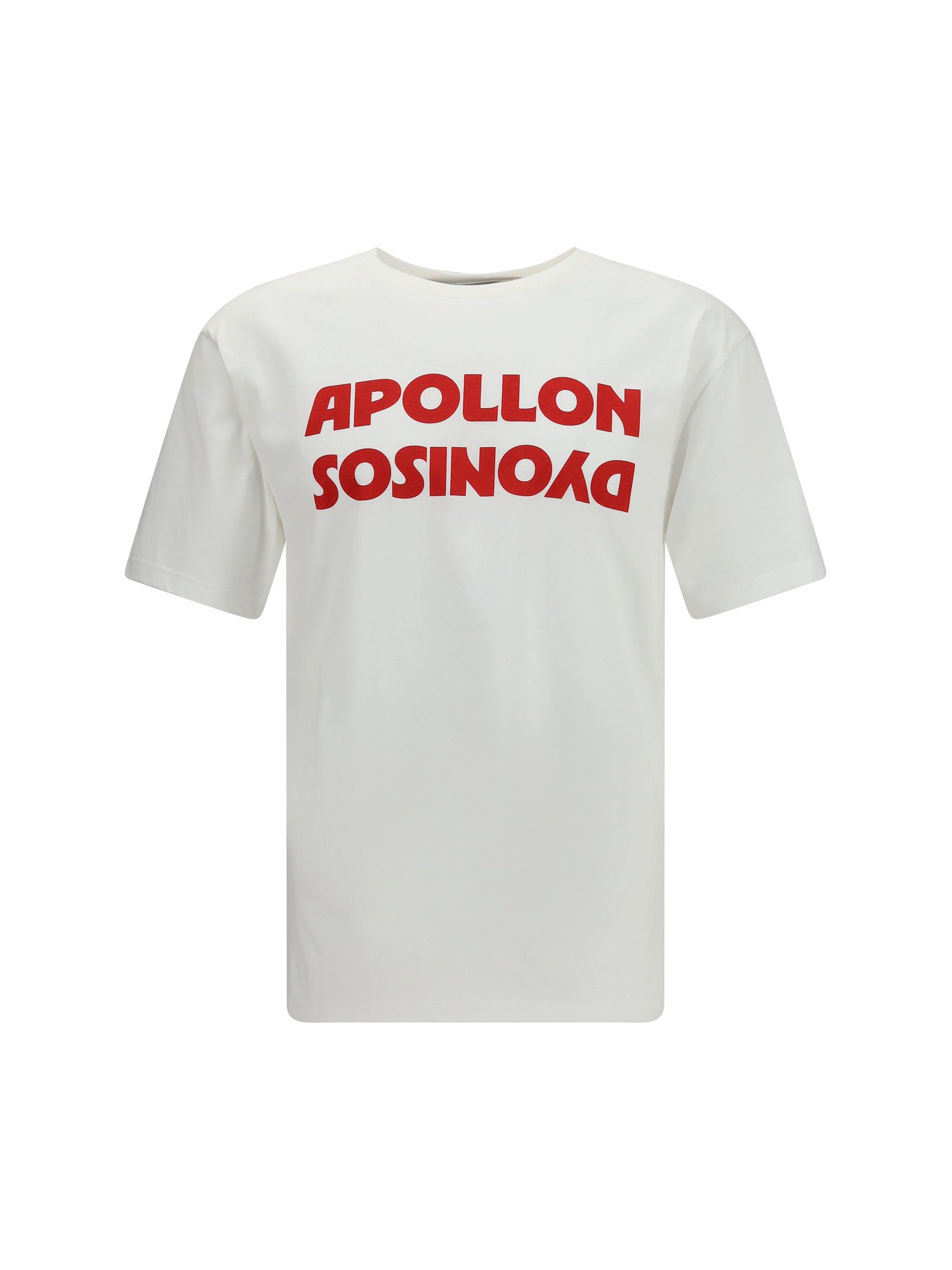 コットン Tシャツ グラフィック プリント