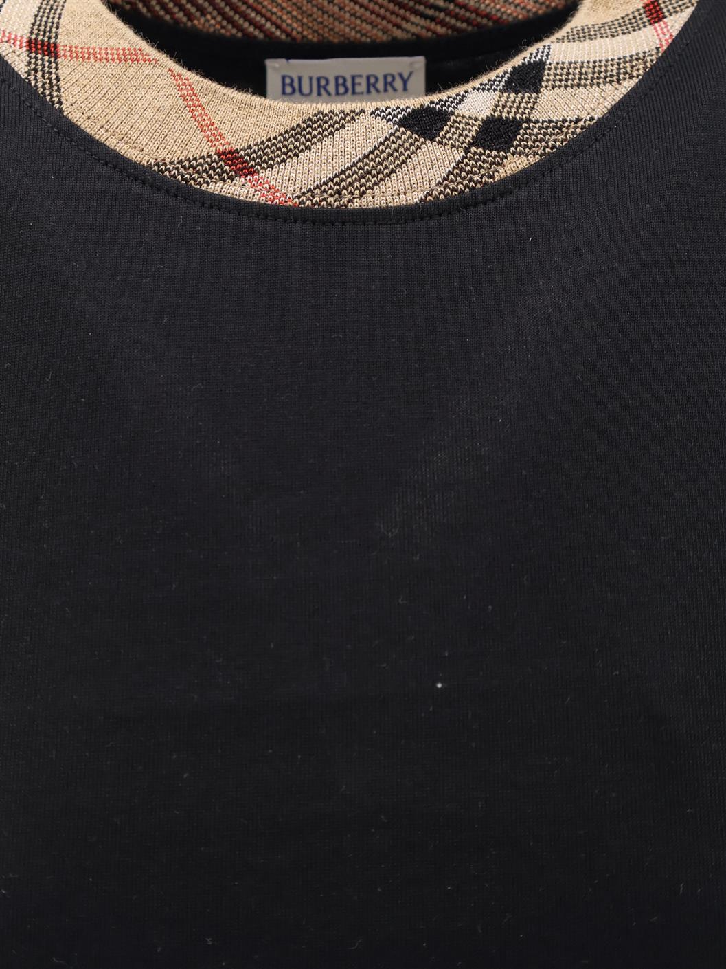 コットン Tシャツ