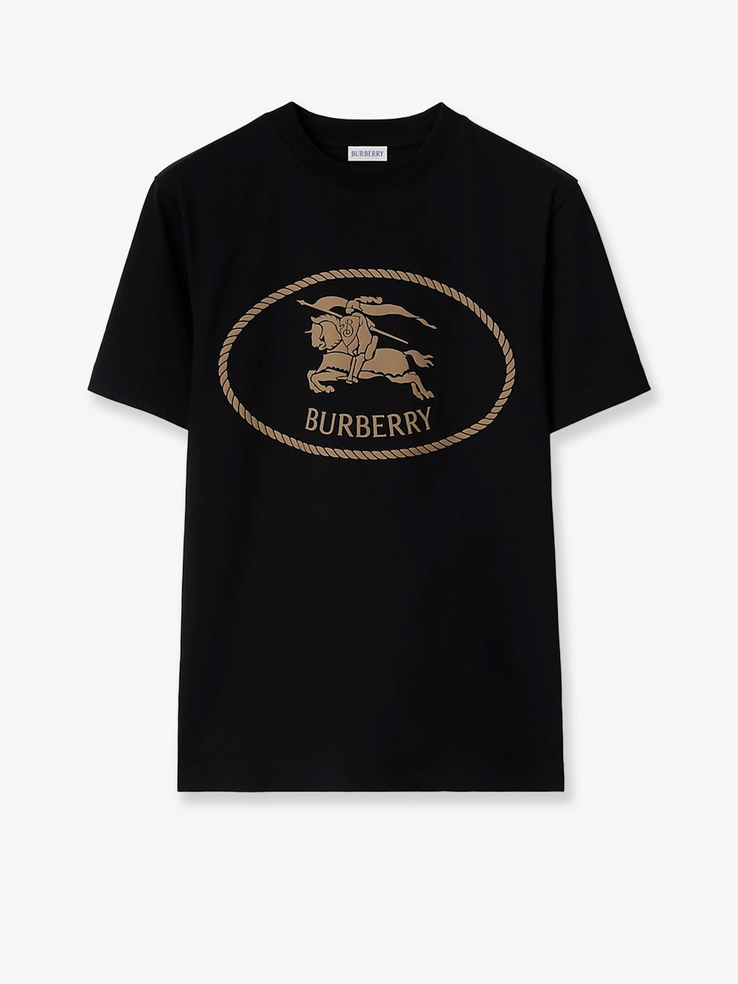 コットン Tシャツ オーガニック コットン コットン