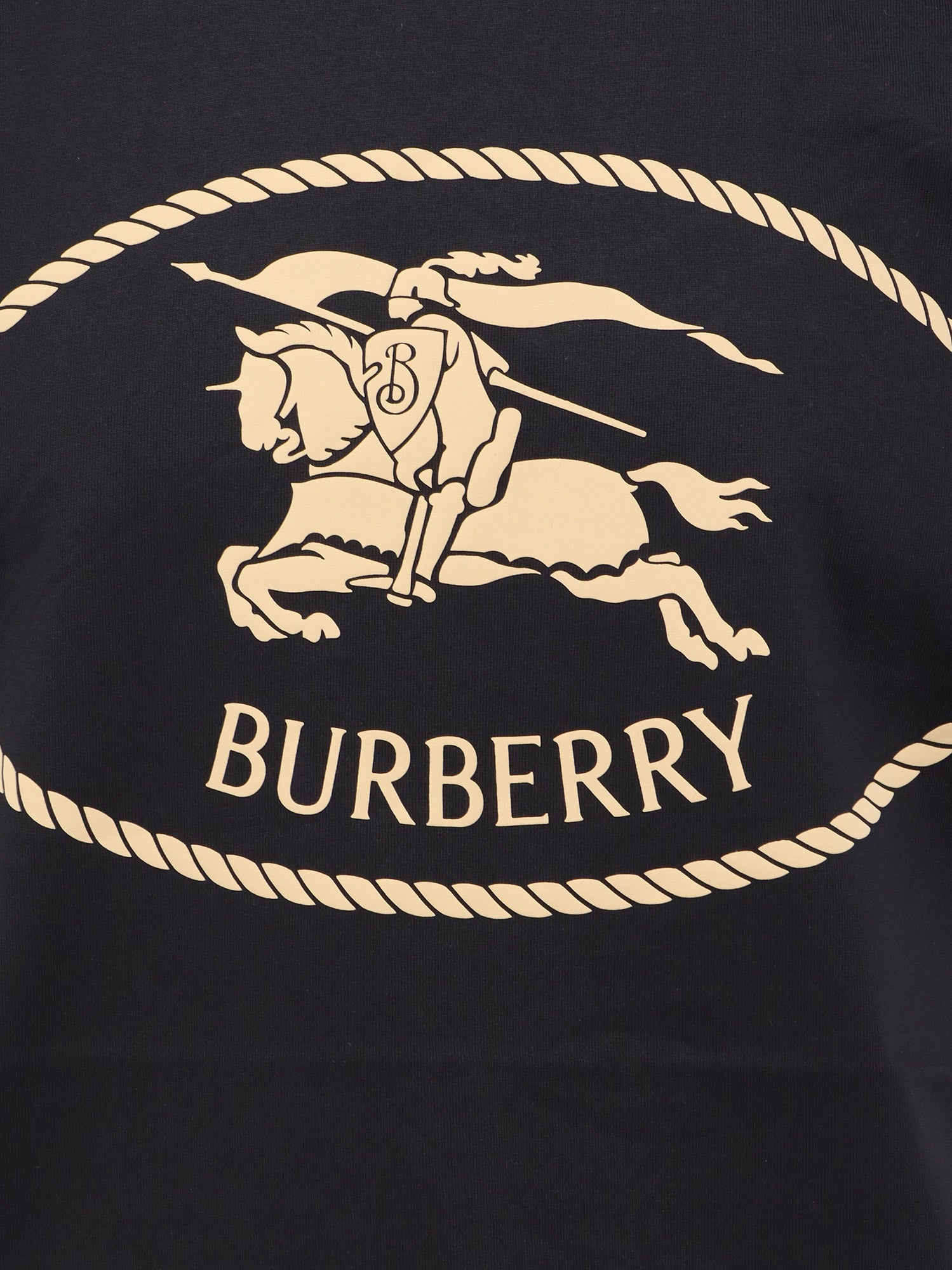 コットン Tシャツ オーガニック コットン コットン