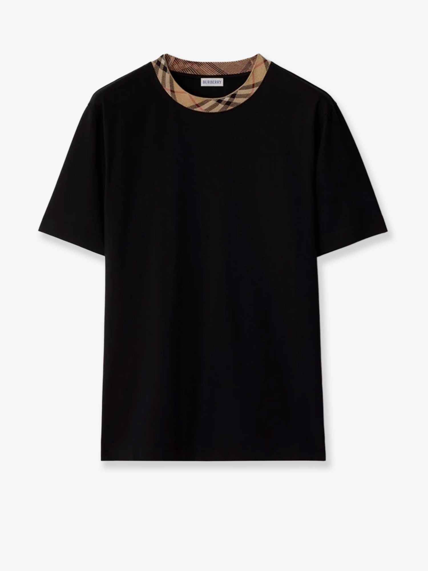 コットン Tシャツ