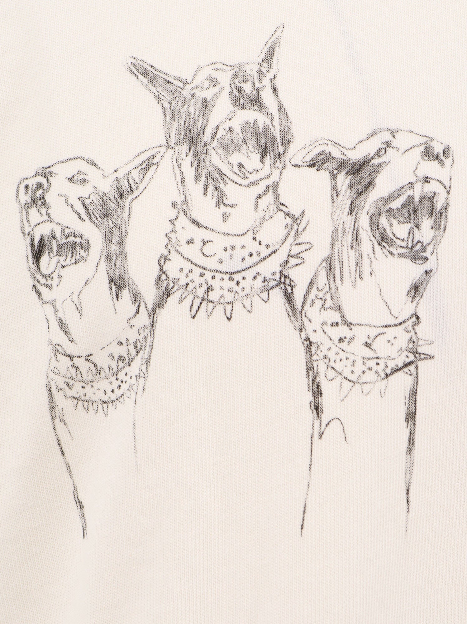 コットン Tシャツ