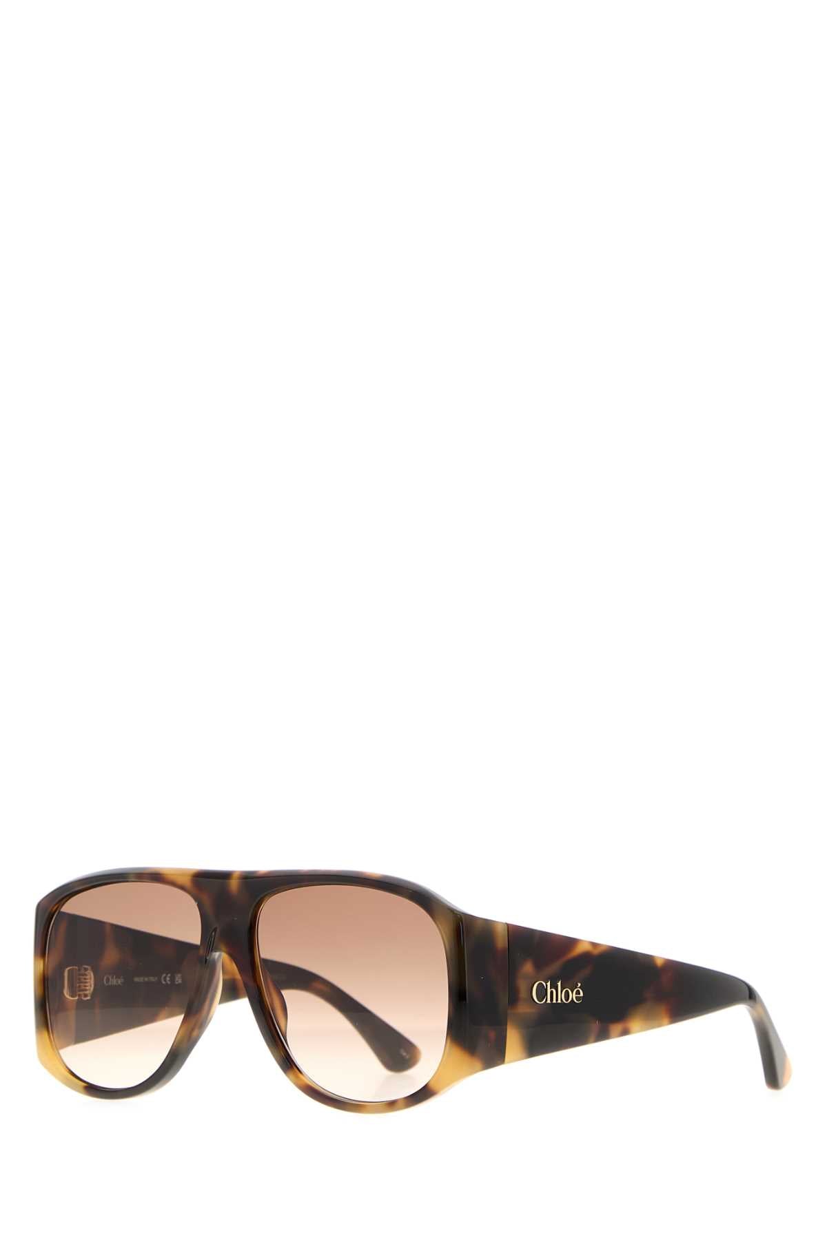 SUNGLASS W