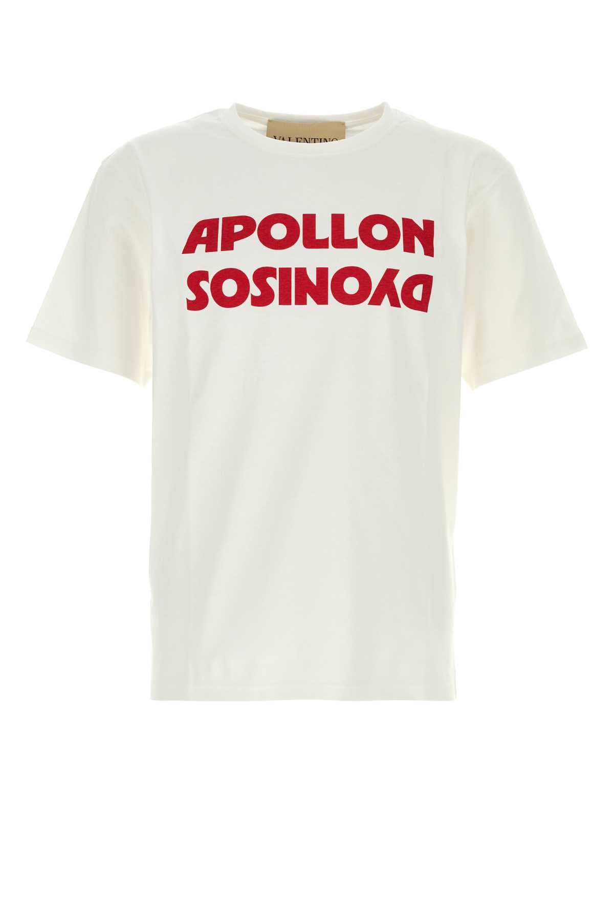 Tシャツ コレクション